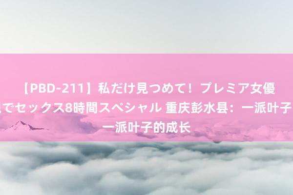 【PBD-211】私だけ見つめて！プレミア女優と主観でセックス8時間スペシャル 重庆彭水县：一派叶子