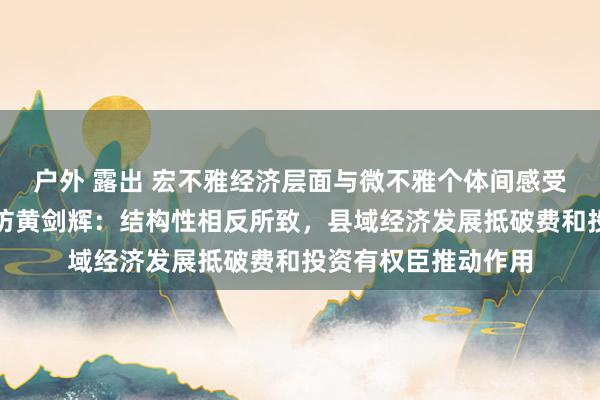 户外 露出 宏不雅经济层面与微不雅个体间感受为何存在相反？专访黄剑辉：结构性相反所致，县域经济发展抵破费和投资有权臣推动作用