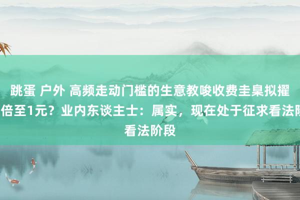 跳蛋 户外 高频走动门槛的生意教唆收费圭臬拟擢升9倍至1元？业内东谈主士：属实，现在处于征求看法阶段