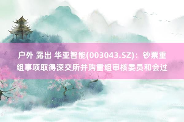 户外 露出 华亚智能(003043.SZ)：钞票重组事项取得深交所并购重组审核委员和会过