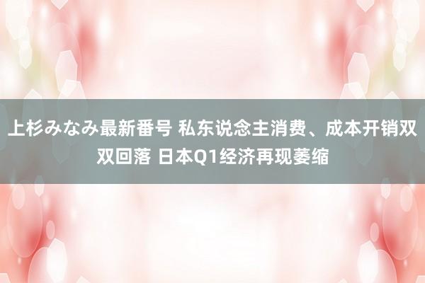 上杉みなみ最新番号 私东说念主消费、成本开销双双回落 日本Q1经济再现萎缩