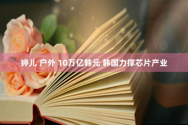 婷儿 户外 10万亿韩元 韩国力撑芯片产业