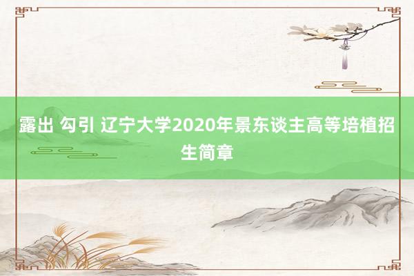 露出 勾引 辽宁大学2020年景东谈主高等培植招生简章