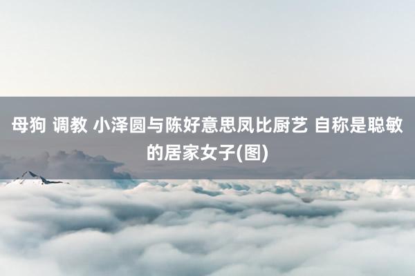 母狗 调教 小泽圆与陈好意思凤比厨艺 自称是聪敏的居家女子(图)